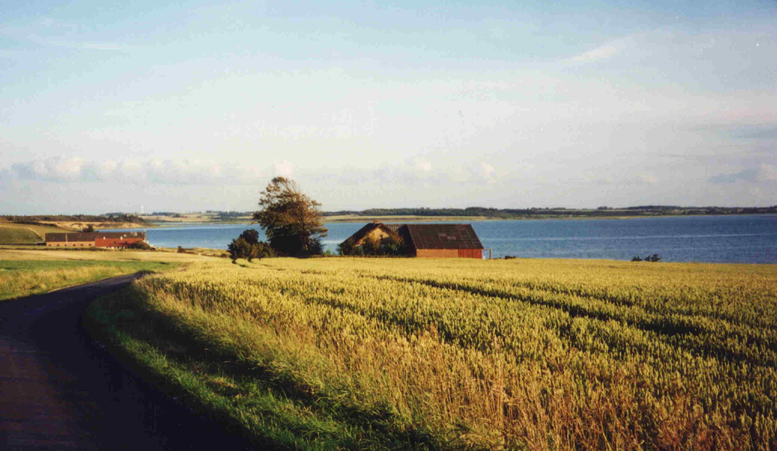 Der Fjord und links-unten der Bauernhof!