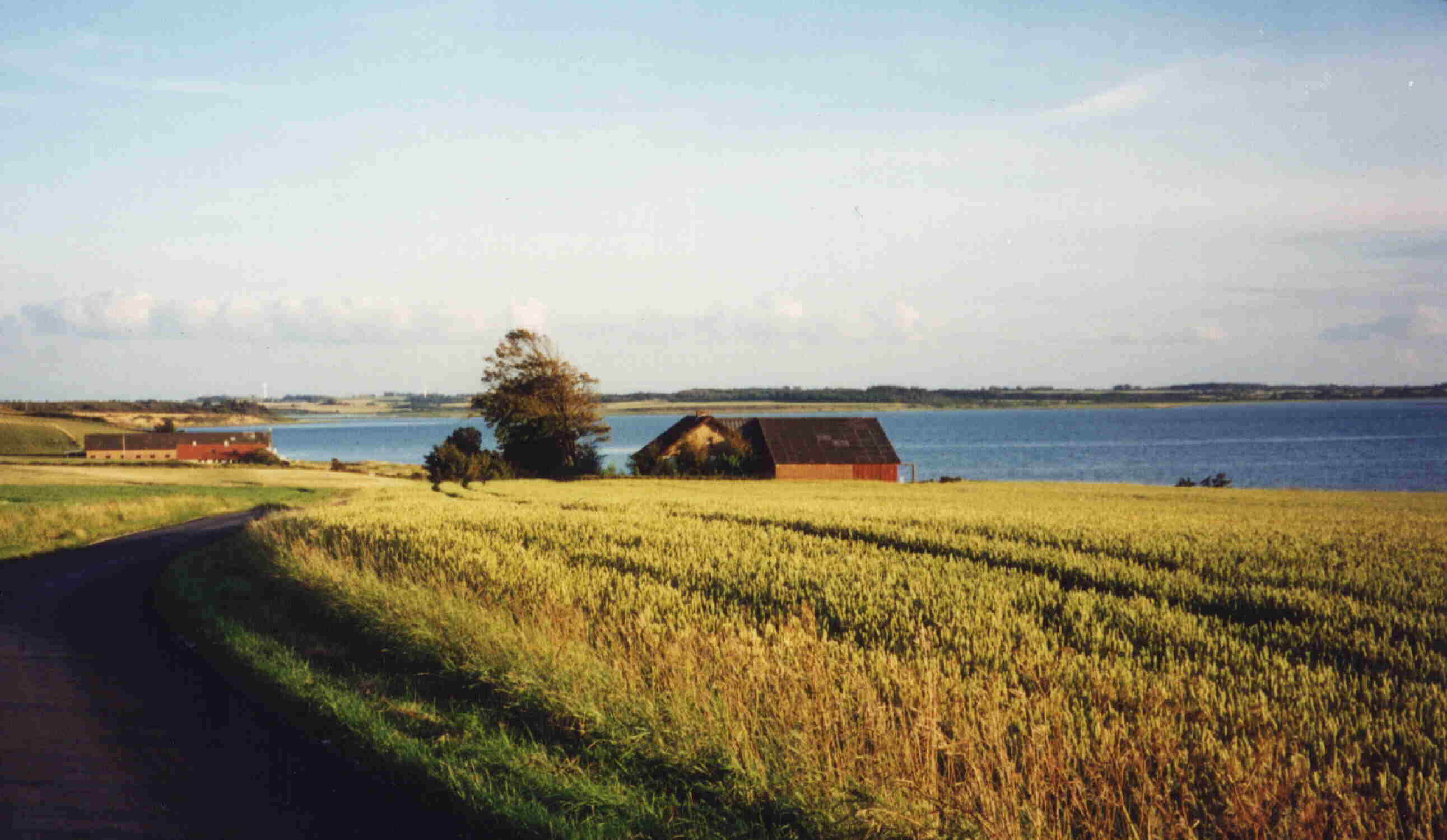 Der Fjord und links-unten der Bauernhof!